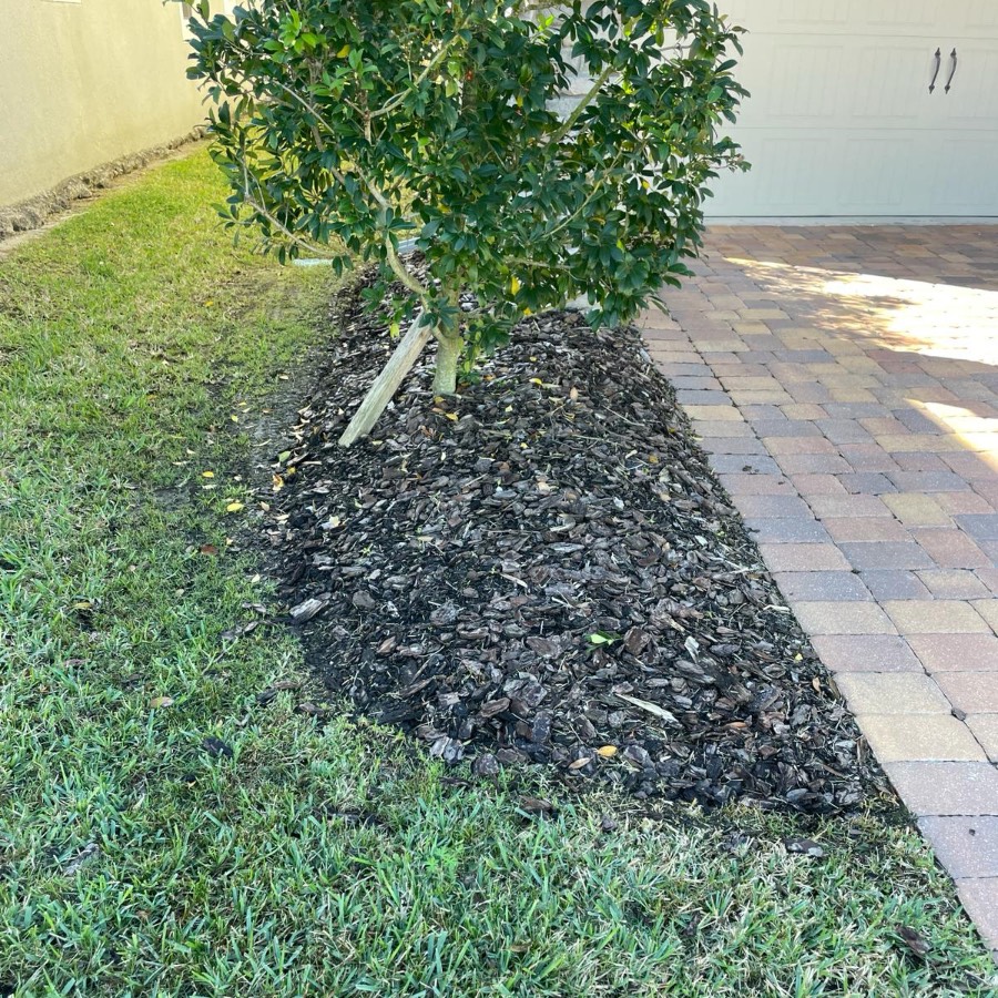 before mulch